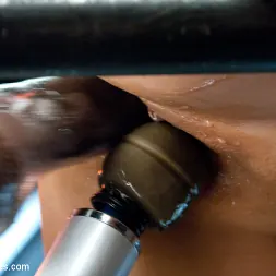 Baylee Lee in Snatching the Wrong Girl: The Machines Can't Keep UP (Photo 7) Baylee Lee in 'Kink' Snatching the Wrong Girl: The Machines Can't Keep UP (Thumbnail 7)