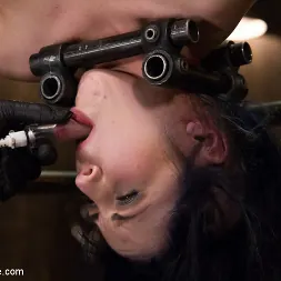 Becky Jane に 'Kink' テロの治世 (サムネイル 16)