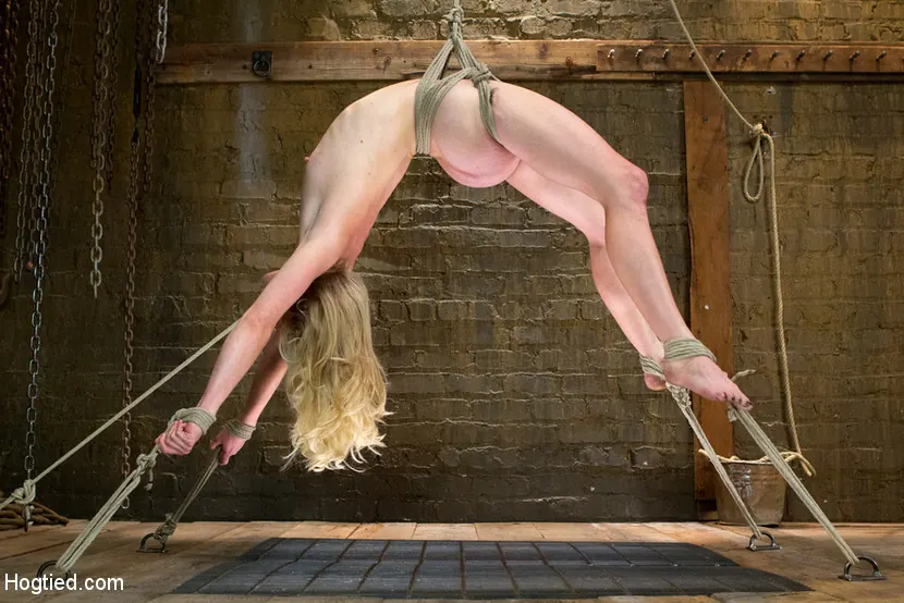 Kink '最初のタイマーベラベンドは彼女の名前に生きる！' 主演 Bella Bends (写真 16)