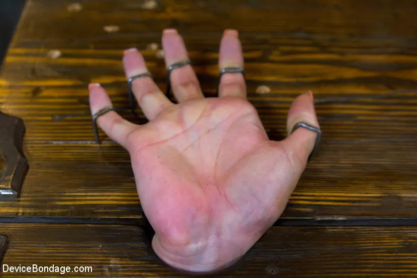 Kink 'Big Natural Tits get Brutalized' starring Bella Rossi (Photo 16)