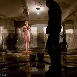 Bella Rossi in 'Kink' The Training of Bella Rossi, Day One (Thumbnail 2)