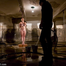 Bella Rossi に 'Kink' ベラ・ロッシのトレーニング、1日目 (サムネイル 2)