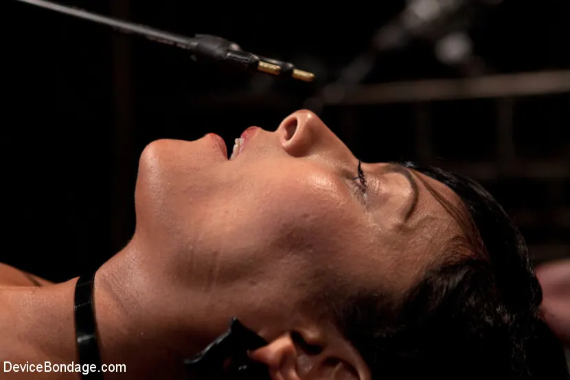 Kink 'Bangin' Brunette Broad -' starring Beretta James (Photo 15)