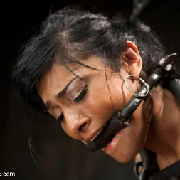 Beretta James in 'Kink' Live Show - Complete Edited Version (Thumbnail 27)