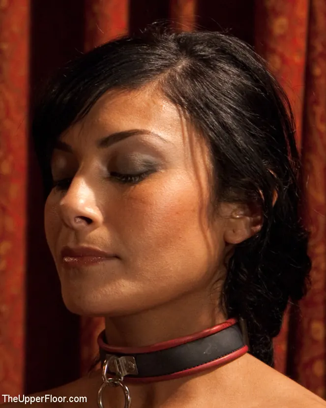 Kink 'Cena comunitaria: servicio de mesa' protagonizando Beretta James (foto 2)