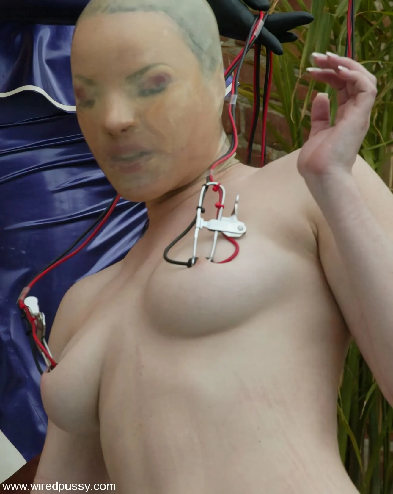 Kink 'Dana DeArmond and Betka Schpitz' starring Betka Schpitz (Photo 6)