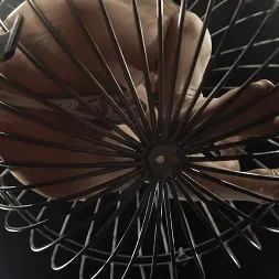 Betty Solace に はいクイーンベティ:ベティ慰めドムスバックス (写真 5) Betty Solace に 'Kink' はいクイーンベティ:ベティ慰めドムスバックス (サムネイル 5)