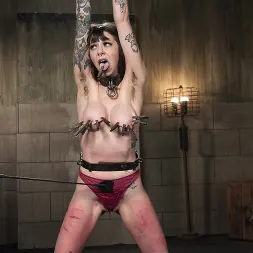 Bianka Strange in 'Kink' Bondage, Torment, and Tears (Thumbnail 1)