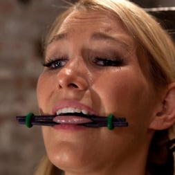 Blake Rose in 'Kink' Impaled with a huge dildo (Thumbnail 14)