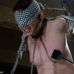 Bobbi Starr に 'Kink' アンバーキーン (サムネイル 18)