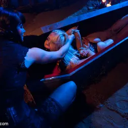 Bobbi Starr に 'Kink' アナル・ハウティング (サムネイル 17)