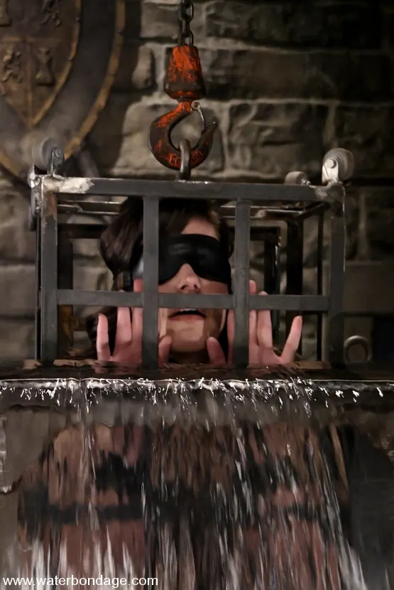 Kink 'ボビースターラー' 主演 ボビースターラー (写真 1)