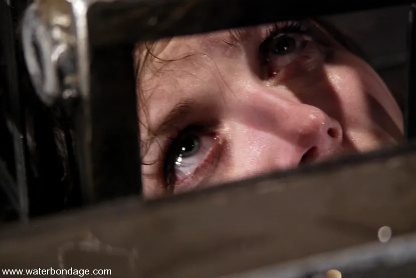 Kink 'ボビースターラー' 主演 ボビースターラー (写真 10)