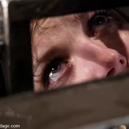 ボビースターラー に 'Kink' ボビースターラー (サムネイル 10)