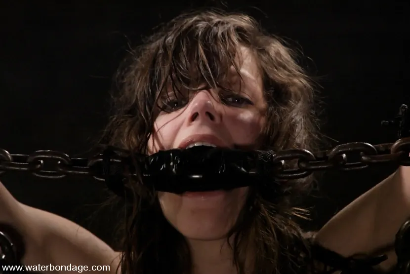 Kink 'ボビースターラー' 主演 ボビースターラー (写真 11)