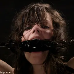 ボビースターラー に 'Kink' ボビースターラー (サムネイル 11)