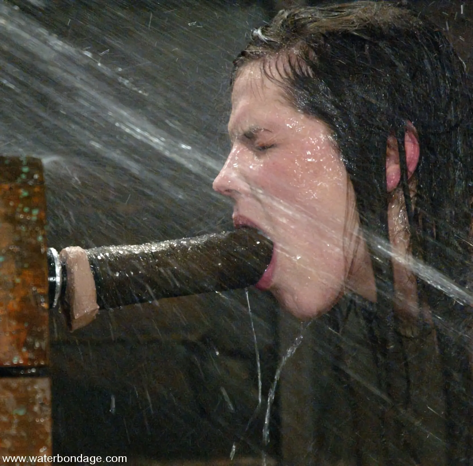 Kink 'ボビースター' 主演 ボビースター (写真 4)