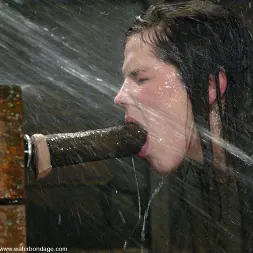 ボビースター に 'Kink' ボビースター (サムネイル 4)