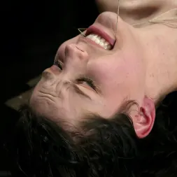 ボビースター に 'Kink' ボビースター (サムネイル 11)