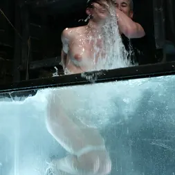 ボビースター に 'Kink' ボビースター (サムネイル 13)