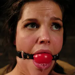 ボビースター に 'Kink' ボビースター (サムネイル 13)