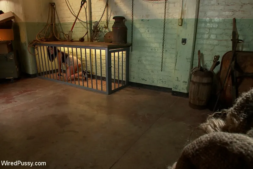 Bobbi Starr in 'Busty Brunette in for a Sure Shock Fuck' from 'Kink' (Photo 1) Kink 'Busty Brunette in for a Sure Shock Fuck' starring Bobbi Starr (Photo 1)