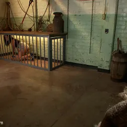 Bobbi Starr に 'Kink' 確かなショックファックのための巨乳ブルネット (サムネイル 1)