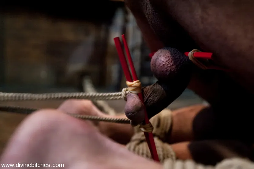 Kink 'フレッシュミート：エピソード2ありがとうお嬢さんボビー' 主演 Bobbi Starr (写真 5)