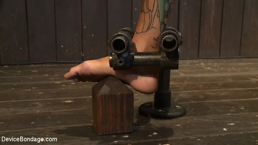 Kink '- Tamed Whore By JP' 主演 Bonnie Rotten (写真 12)