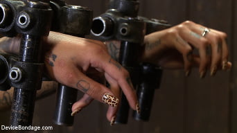 Bonnie Rotten en '- Puta domesticada por JP'