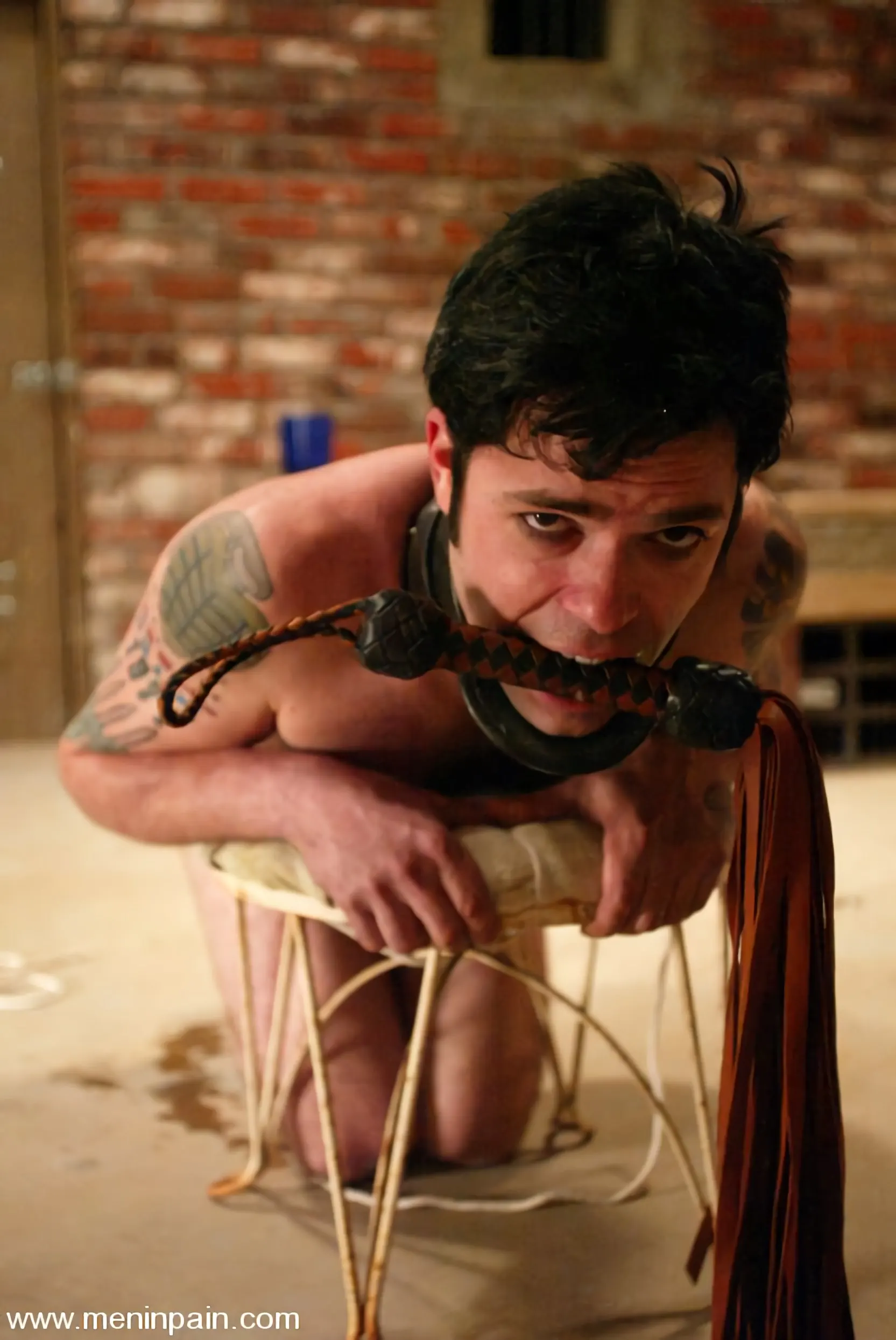 Brandon に 'and Kym Wilde' from 'Kink' (写真 14) Kink 'and Kym Wilde' 主演 Brandon (写真 14)