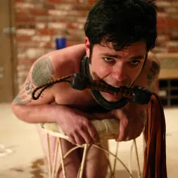 Brandon に and Kym Wilde (写真 14) Brandon に 'Kink' and Kym Wilde (サムネイル 14)