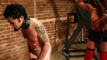 Brandon in 'and Kym Wilde'