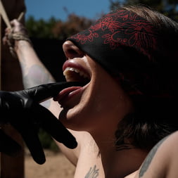 Brenna McKenna に 'Kink' つながれて耐候性がある (サムネイル 3)