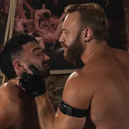 Brogan in Cries of Submission (Photo 8) Brogan in 'Kink' Cries of Submission (Thumbnail 8)