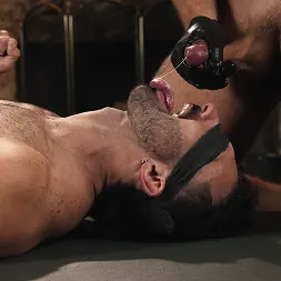 Brogan in Cries of Submission (Photo 15) Brogan in 'Kink' Cries of Submission (Thumbnail 15)