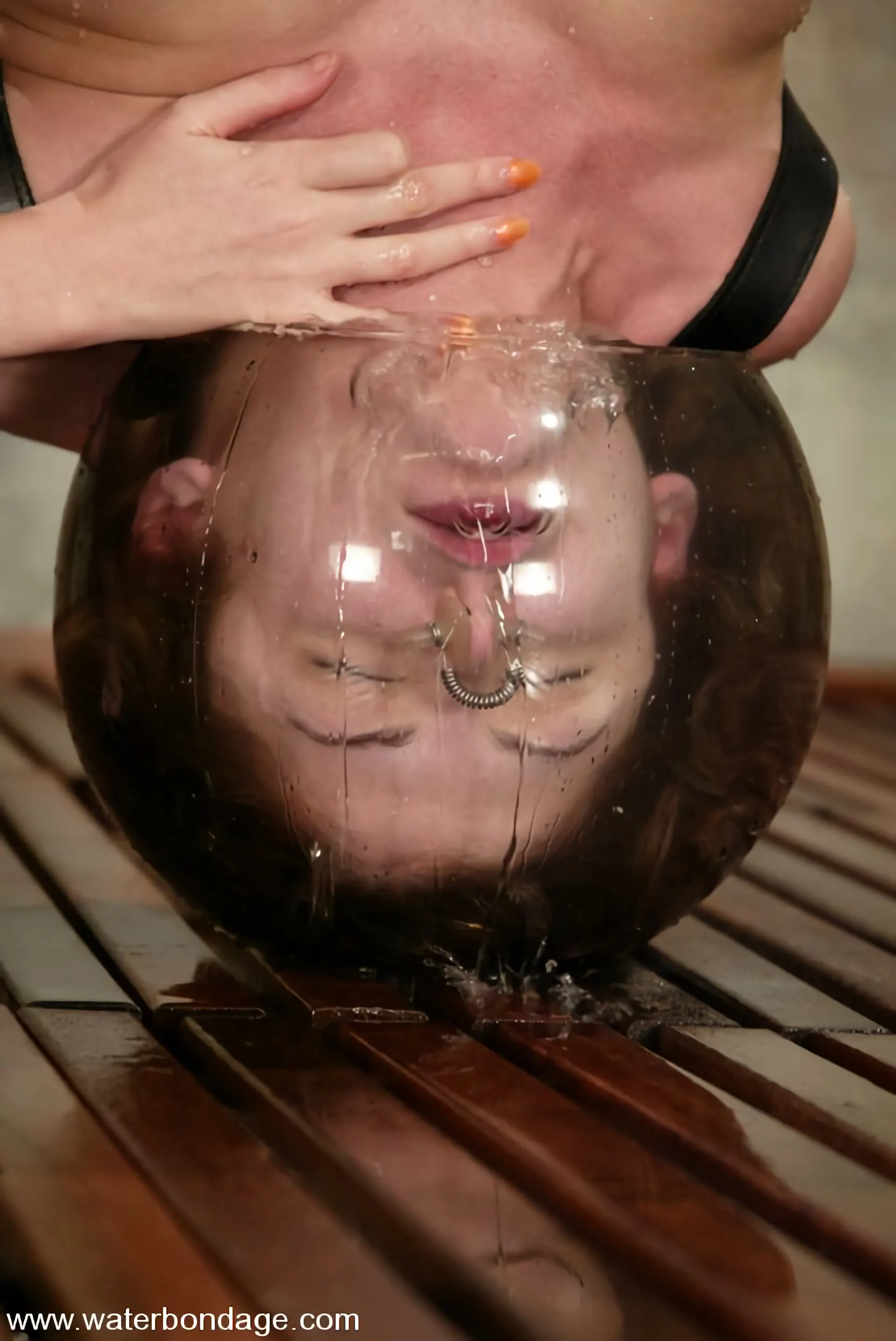 Kink 'ブルックバウンド' 主演 ブルックバウンド (写真 9)