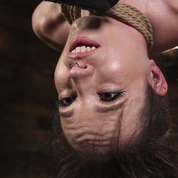 Brooke Johnson に 'Kink' ブルックの残忍な緊縛 (サムネイル 14)