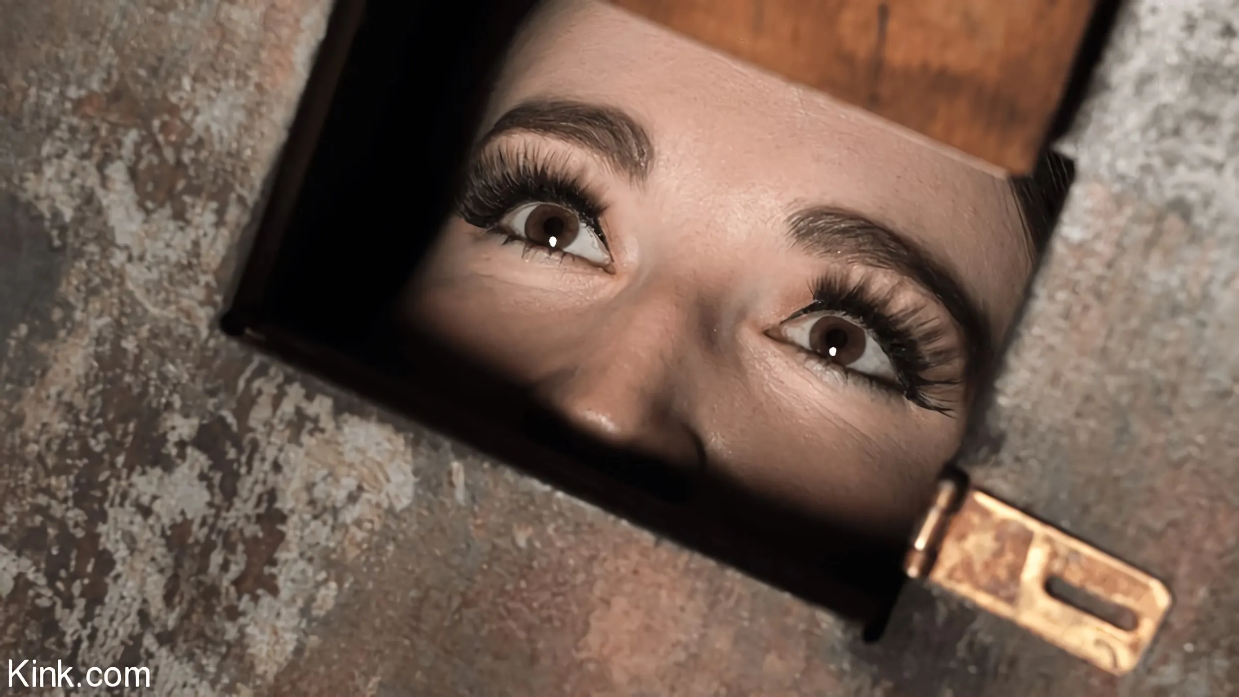 Kink 'Brooke Johnson: Grueling Device Bondage' starring Brooke Johnson (Photo 3)