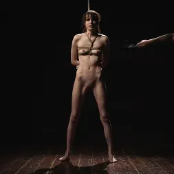 Brooke Johnson en 'Kink' Ataque de piratas informáticos (Miniatura 6)