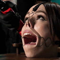 Brooke Johnson に 'Kink' 痛みの豚はもっと欲しがっています (サムネイル 3)