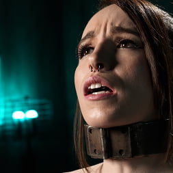 Brooke Johnson に 'Kink' 痛みの豚はもっと欲しがっています (サムネイル 8)