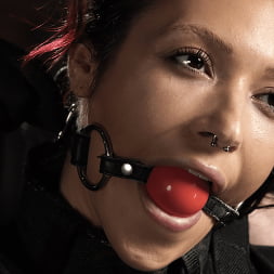 Brooklyn Gray に 'Kink' ブルックリングレイ:並外れた痛みの女 (サムネイル 2)