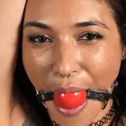 Brooklyn Gray en Esclavitud brutal y dominación agotadora de Brooklyn Gray (foto 2) Brooklyn Gray en 'Kink' Esclavitud brutal y dominación agotadora de Brooklyn Gray (Miniatura 2)