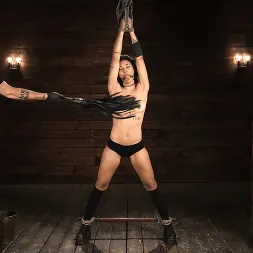 Brooklyn Gray en Esclavitud brutal y dominación agotadora de Brooklyn Gray (foto 4) Brooklyn Gray en 'Kink' Esclavitud brutal y dominación agotadora de Brooklyn Gray (Miniatura 4)