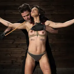 Brooklyn Gray in 'Kink' EXTREME BONDAGE AND TORMENT!! (Thumbnail 8)