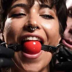 Brooklyn Gray in 'Kink' Medieval Devices: Brooklyn Gray (Thumbnail 2)