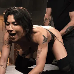 Brooklyn Gray en Escuela de sumisión, día uno: Brooklyn Gray (foto 18) Brooklyn Gray en 'Kink' Escuela de sumisión, día uno: Brooklyn Gray (Miniatura 18)