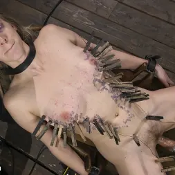 Cadence Lux に 'Kink' Cadence Luxeの破壊 (サムネイル 1)