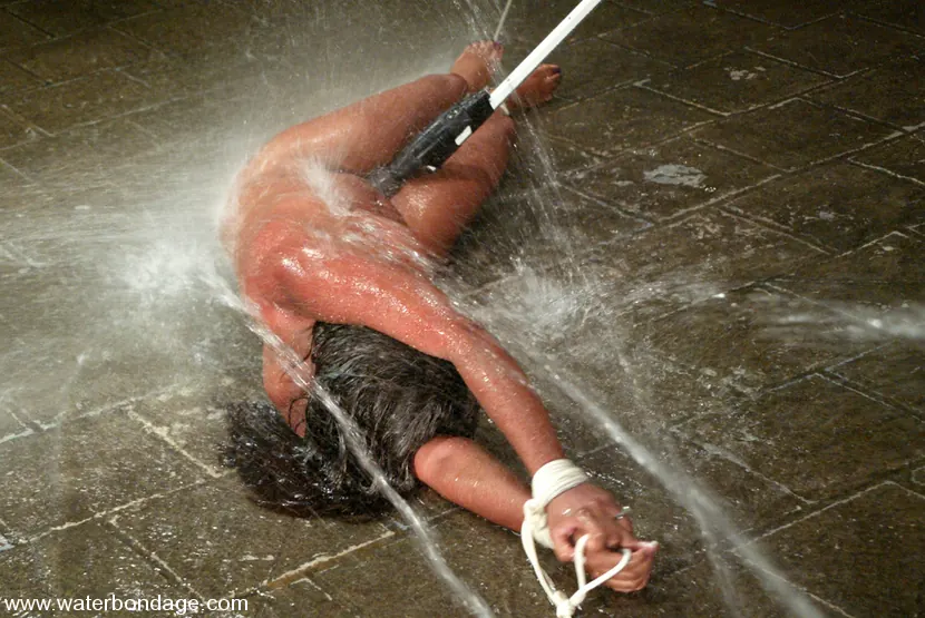 Kink 'キャンディスフォン' 主演 キャンディスフォン (写真 4)